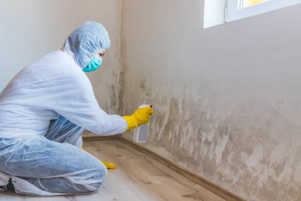 Licensed Mold Remediation service in Hebron, MD - 24 Hour Mold Removal