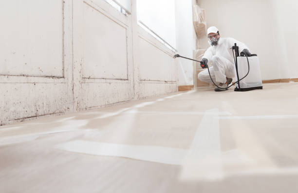 24/7 Emergency Mold Remediation experts in Hebron, MD