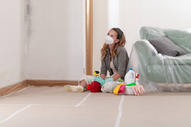 Reliable Mold Remediation contractor in Hebron, MD by 24 Hour Mold Removal